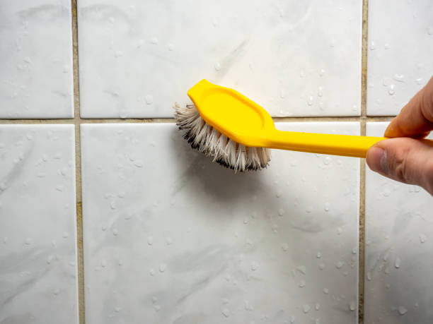 Best Mold Removal Near Me  in Braddock Heights, MD