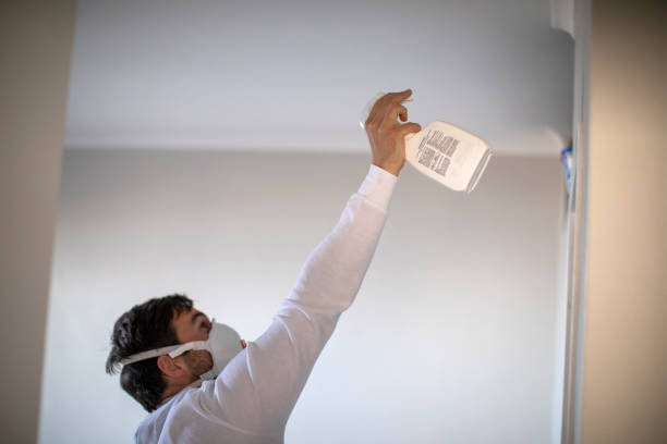 Best Mold Removal Process  in Braddock Heights, MD