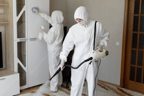 Best Mold Remediation  in Braddock Heights, MD