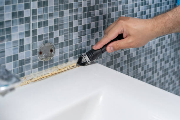 Best Certified Mold Removal  in Braddock Heights, MD