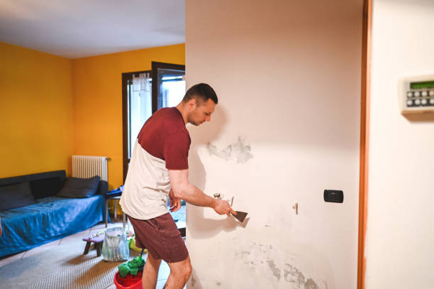 Office Mold Removal Services in Braddock Heights, MD