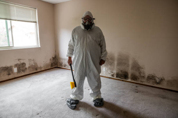 Best Mold Cleaning Services  in Braddock Heights, MD